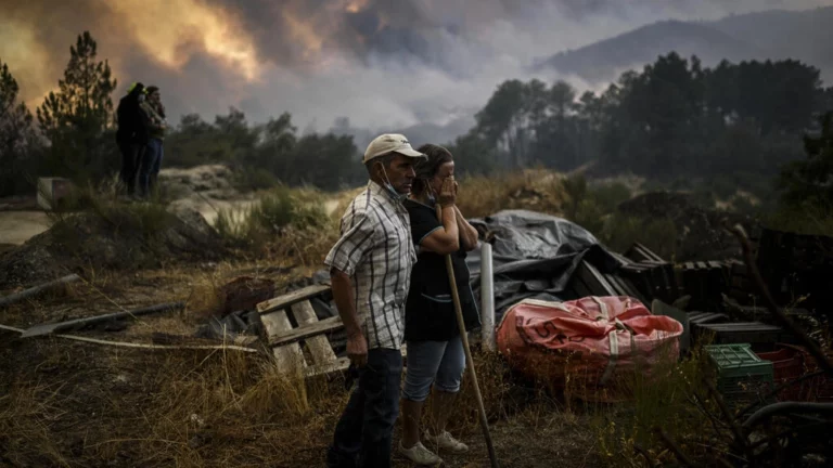 Portugal: plus de 100000 hectares brûlés par les feux de forêt cette année