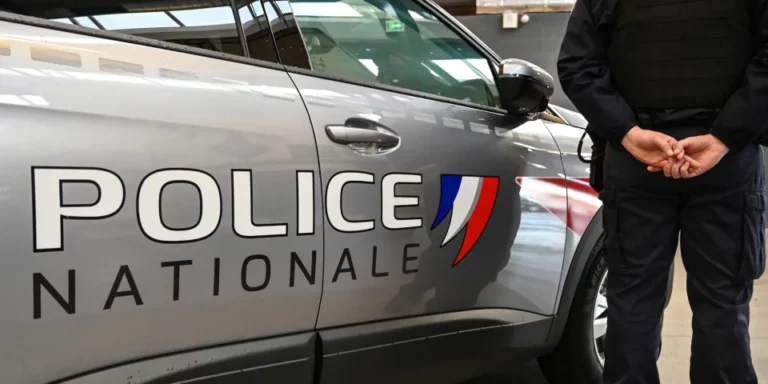 Essonne : un molosse agressif tué par un voisin après avoir blessé quatre personnes