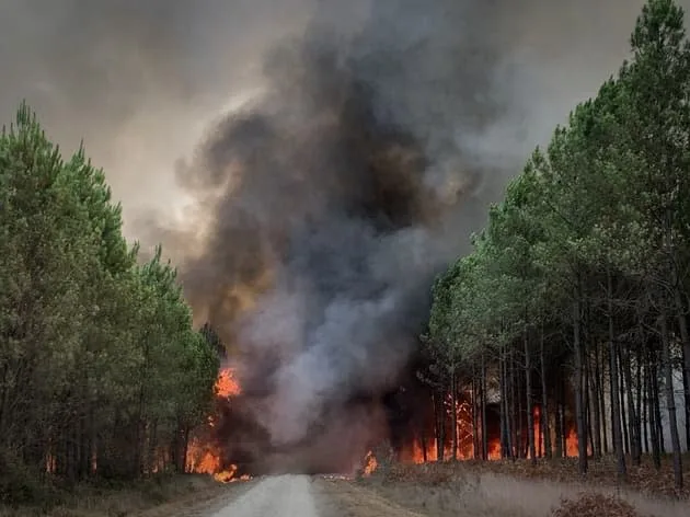 Reprise des feux en Gironde : l’incendie progresse très vite, 5 000 hectares brûlés depuis mardi