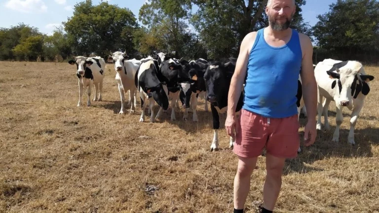 France: les agriculteurs touchés de plein fouet par la sécheresse de cet été 2022