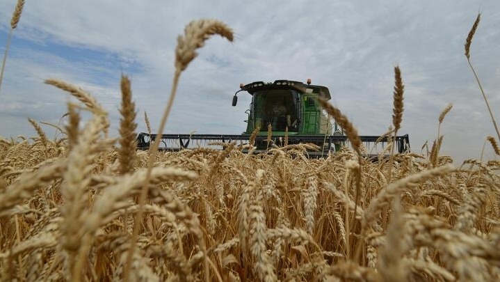 L’accord sur les céréales ukrainiennes reconduit pour l’hiver