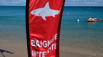 Nouvelle-Calédonie: un touriste australien tué lors d’une attaque de requin