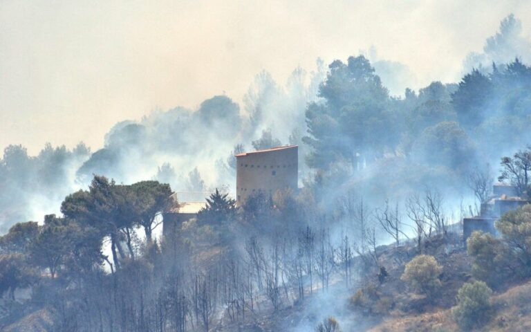 Incendie dans les Pyrénées-Orientales : le feu maîtrisé mais toujours pas fixé, Darmanin attendu sur place