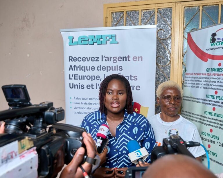LemFi : au-delà du transfert