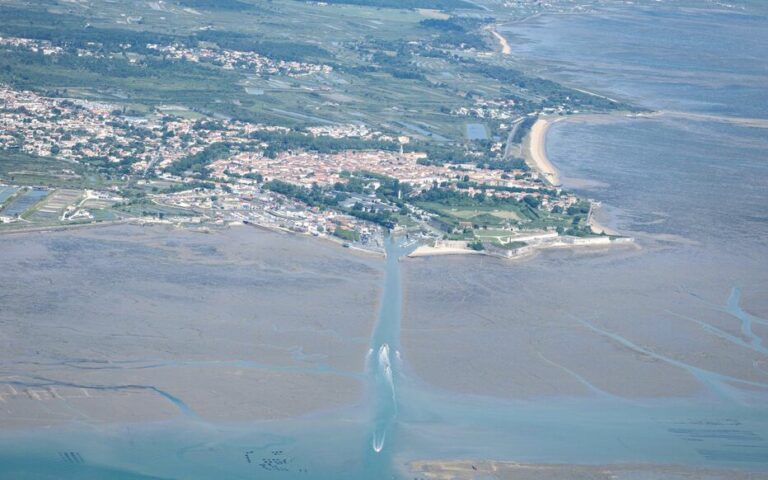 « Pas de limite d’âge ni de diplôme demandé » : l’île d’Oléron lance un appel à candidature pour réhabiliter ses marais salants